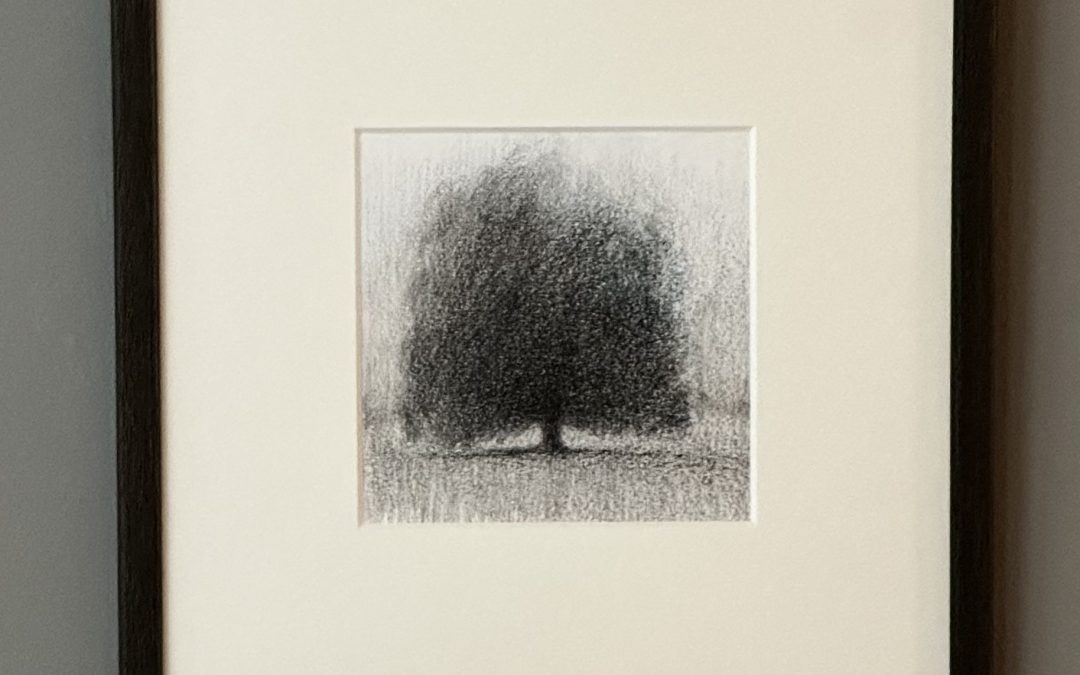 Tree Drawings for Sale